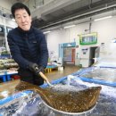 농수산물도매시장 조 이미지