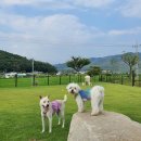 토리하우스 이미지