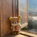 왓쇼이