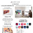 스테이인연