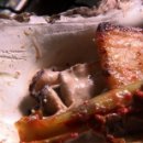 푸른강변 이미지