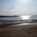 베이브리즈 이미지