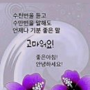 용인사랑재가복지센터 이미지