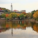 두류공원 이미지