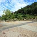 청풍호오토캠핑장 이미지