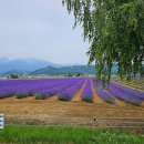 이스트팜 이미지