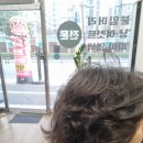 컷트랑파마랑 | 대전 남자 파마·컷트 잘하는 곳, 가격 부담 없는 미용실 후기