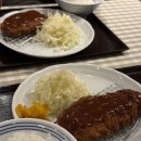6944 | [일본 오사카] 오사카성 공원 접근성 좋은 카츠 맛집, “Katsuma JO-TERRACE OSAKA” 등심돈까스 후기