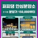 퍼피댕 강아지분양 안심분양소 청주점 말티푸미니비숑토이푸들 이미지