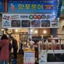 양포문어 이미지