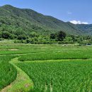 비내 경로당 이미지