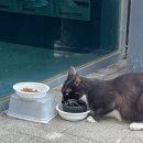 이마트24 감천용정점 | 올해도 여름은 동해! 나만의 또x100 갈 여행지...!