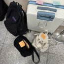 청 춘
