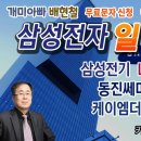 개미아빠 배 현철 12월 12일 대응전략 이미지