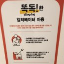 스타애견샵 이미지