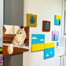 롯데마트 송파점 이미지