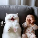아이조아 이미지