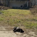 크로스핏라온3 등 | 다이어트캠프 다이어트합숙소 뉴라온다이어트캠프 2주 단기다이어트 후기