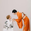 젠 - 울릉군 | 젠