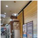 일동동물병원 이미지