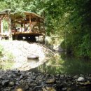 진영농장 이미지