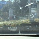 ㈜강릉산업 과학 | [강릉] 브라운베리 - 정원있는 카페, 수제요거트 내돈내산 후기