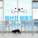 멈머즈 | 울산동구애견카페 멈머즈 애견동반 오션뷰 카페 유치원 호텔 놀이방