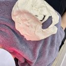 가야할밀면 | [경주 피부관리] 물광피부를 위한 세멘필로티 ‘다움뷰티’ 후기