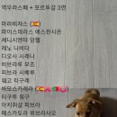 비.에스.피 이미지