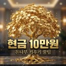 원뱅크 | 케이뱅크 돈나무 키우기 10만원 받기 방법 및 후기