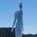 배변의기술 이미지