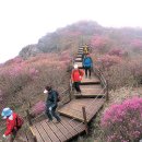 제7차 소백산 번개 산행( 수원 황계산악회 동행 ) 이미지