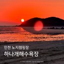 하나개해수욕장 -해변 뒤 | 인천 노지캠핑장 취사 가능한 무의도 하나개해수욕장