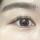 일공공일안경 | 일공공일안경 위드렌즈 수원권선점 &#34;멜팅헤이즈&#34; 원데이렌즈 후기