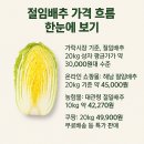 대관령절임배추