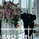 노미네일