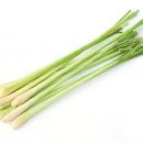 레몬그라스 이미지