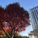 신라스테이 서대문 이미지