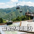 정스카 | 발왕산 케이블카 요금 할인부터 스카이워크 이용 팁까지