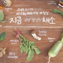 이소영농장 이미지