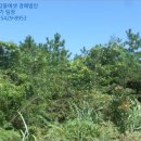 수산리-12 네이버블로그