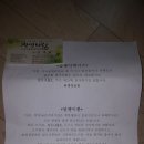 와우백수