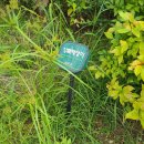 로미공인중개사사무소 | [개포동 아파트] 호텔 같은 집 #디에이치아너힐즈 단지 내 구경합시다