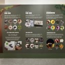 유원유치원 | 아이들과 가기 좋은 곳 영등포구 YDP 곤충체험학습관 방문후기