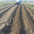 금암농장2 이미지