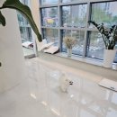 플러스애견미용실 이미지