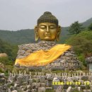 와우정사 이미지