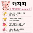 2026년 삼재띠 후반기 종합운세 이미지