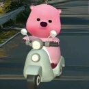 이지호텔 이미지