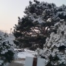 은대리 쉼나루 이미지